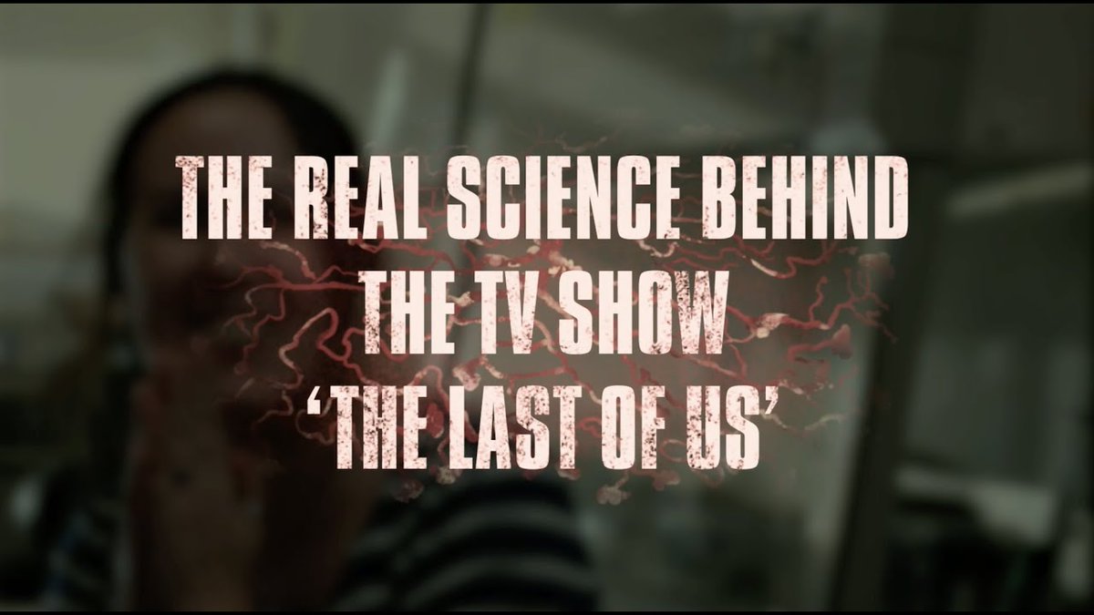 Who's excited for the season finale of #TheLastofUs on Monday?
Make sure you watch this video with Dr Rebecca Drummond <a href="/theRAD_lab/">Rebecca Drummond</a> on the REAL science behind the hit TV show - and how realistic the threat of the fungal infection featured in the series is
youtu.be/uCwGfuKNz1g