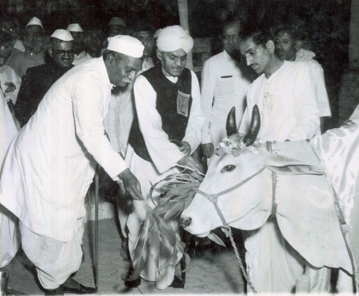 March 10, 1953: President Dr Rajendra Prasad feeding a cow at the State Cattle Show, Patna. #ThisDayThatYear