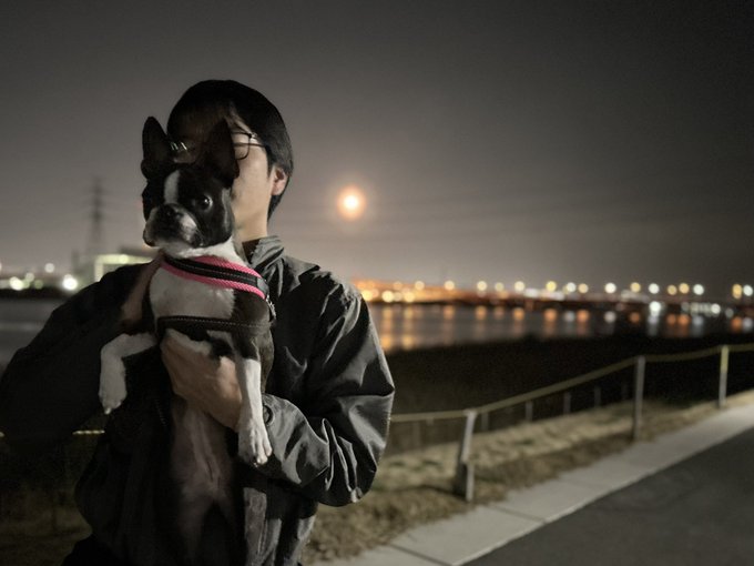 今夜は月がきれいだったね🐰🌕#ボストンテリア　#bostonterrier #犬のいる暮らし 