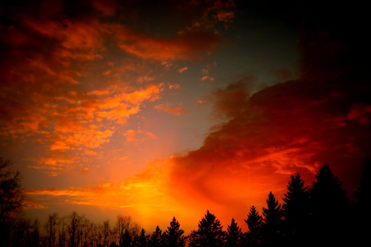 Instructions for an Anxiety-Reducing Interview with Ourselves:
- Wait until the noise of the day has subsided. Find a quiet room. Probably lie in bed - or in the bath.