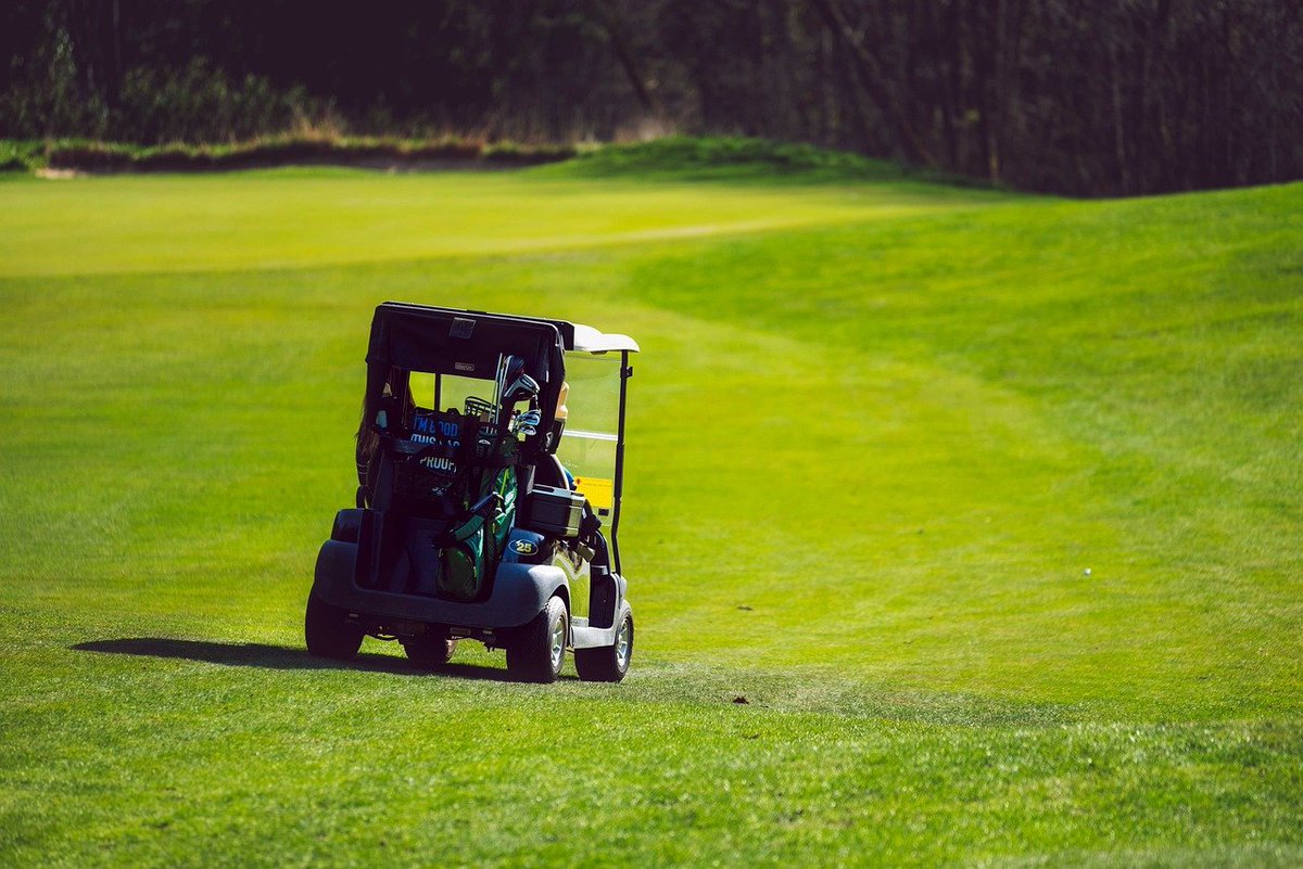 NoBogies's tweet photo. New @GolfPadGPS Ultimate Guide to Customized Golf Carts https://t.co/xv4V36Cb2j https://t.co/0lTQrFkSIe