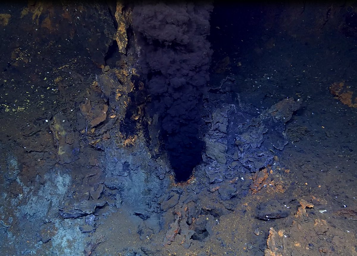 Life in the smoke of un­der­wa­ter vol­ca­noes – meet the microbe making itself at home in #hydrothermal plumes! Scientists @Habitat_MPI @AWI_Media @marum_de found #bacteria uniquely adapted to this #deepsea #geoenergy, out now @NatureMicrobiol Read more: mpi-bremen.de/en/Life-in-the…