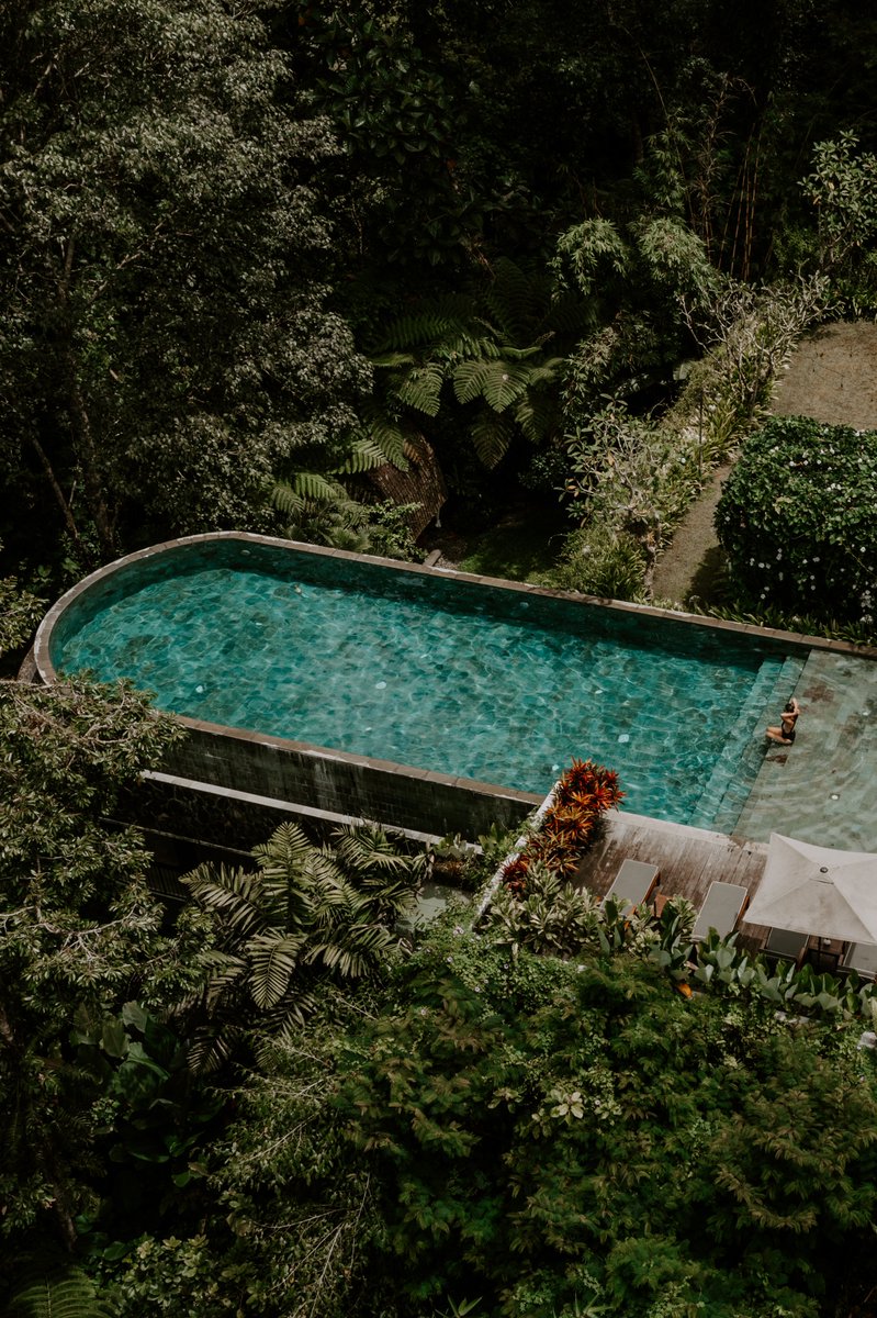 Finding paradise in the heart of the jungle - one heated pool at a time 🌴🌿☀️ Photo credit: (@)martadtravels #SamsaraUbud #WonderfulIndonesia #Ubud #Bali