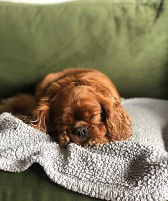 Human Nutrition & Exercise Research Centre tweet media