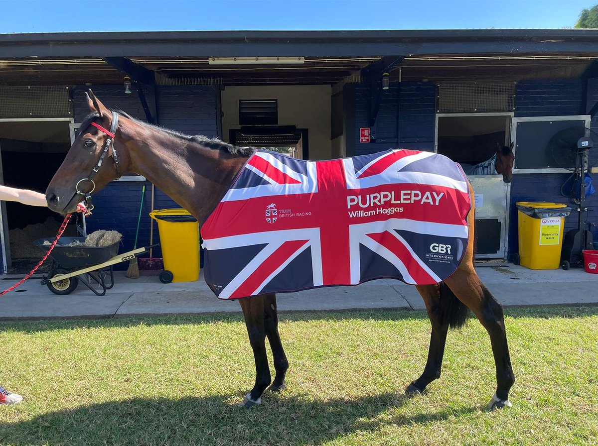 GBRI_UK's tweet photo. Haggas aims four at Sydney Autumn Racing Carnival 🇬🇧✈️🇦🇺

PURPLEPAY &amp; PROTAGONIST line up this weekend while DUBAI HONOUR &amp; EARL OF TYRONE have nominations later this month and in April.

Read 👉 https://t.co/VCbuz7OUEu https://t.co/59c1IsRcSe