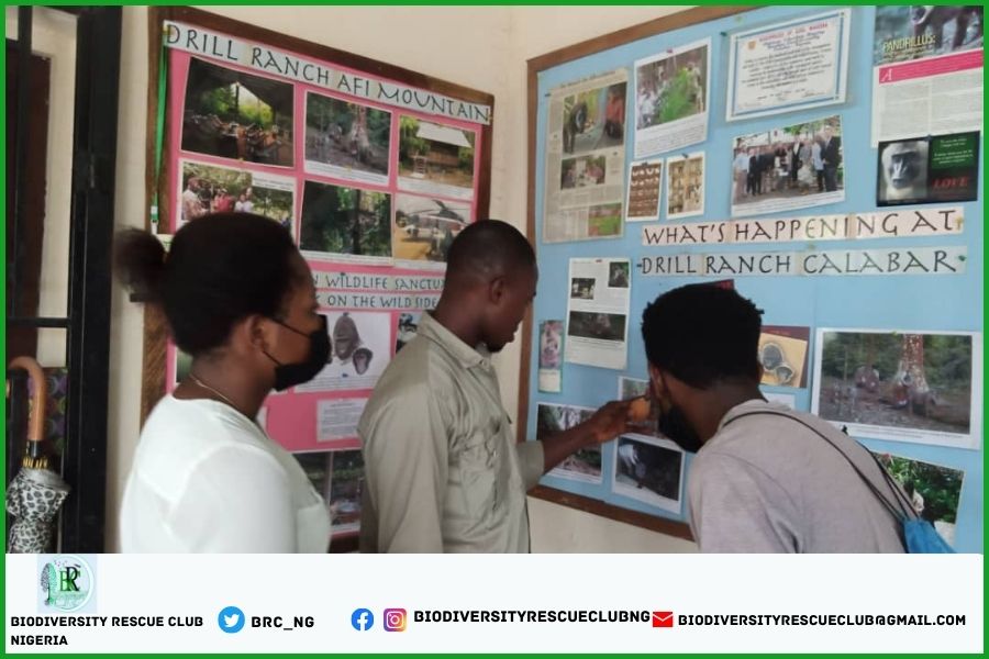 BRC_NG's tweet photo. BRC visit to drill ranch Calabar, to commemorate the 3rd March #WorldWildlifeday
#LetTheWildRemainWild
#ConservationMovement
#SustainableAction https://t.co/x5DvcrBAb9