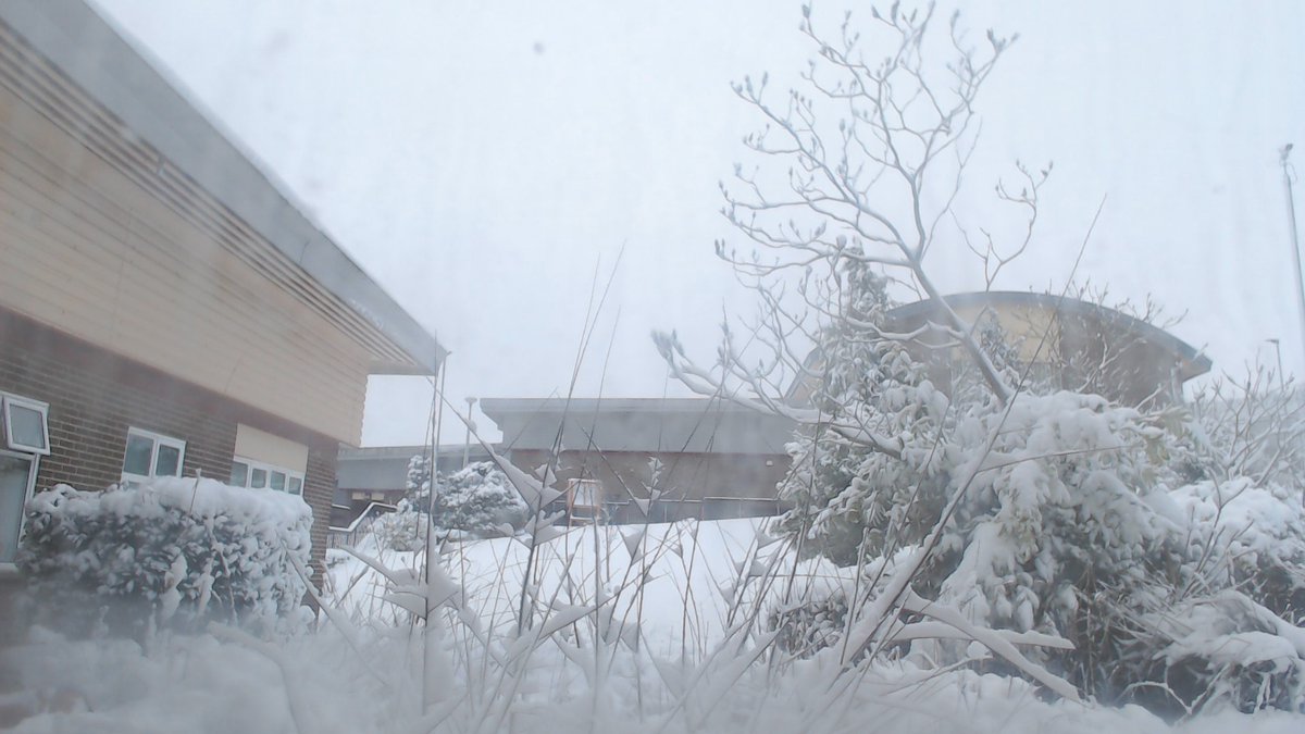 HMPDeerbolt tweet media