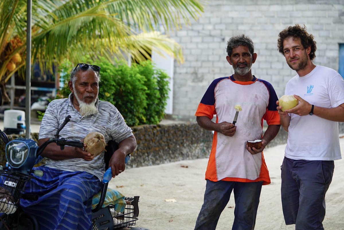 August (@augustpala) on Twitter photo In divehi there are 12 words for coconuts in different stages.
From left to right you can see a koadhukaashi, a mudikaashi and a kurumba.
📸<a href="/albi_angela/">Angela Albi</a> In divehi there are 12 words for coconuts in different stages.
From left to right you can see a koadhukaashi, a mudikaashi and a kurumba.
📸<a href="/albi_angela/">Angela Albi</a>