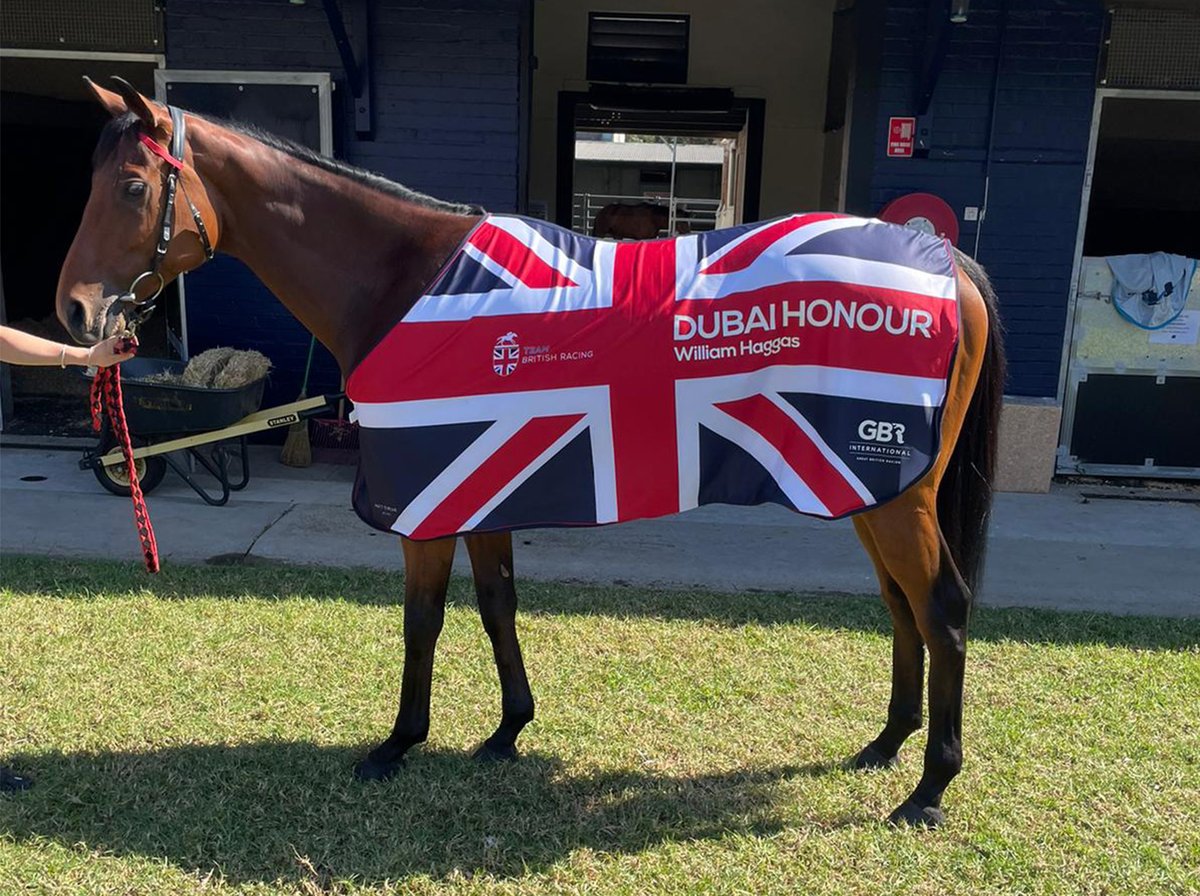 GBRI_UK's tweet photo. Haggas aims four at Sydney Autumn Racing Carnival 🇬🇧✈️🇦🇺

PURPLEPAY &amp; PROTAGONIST line up this weekend while DUBAI HONOUR &amp; EARL OF TYRONE have nominations later this month and in April.

Read 👉 https://t.co/VCbuz7OUEu https://t.co/59c1IsRcSe
