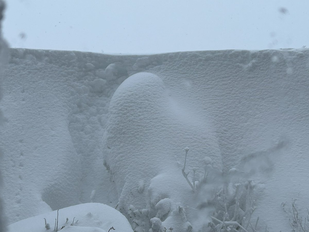 RhodesRuth's tweet image. Current views in #Delph #Saddleworth I’m guessing no post today 😂❄️❄️☃️