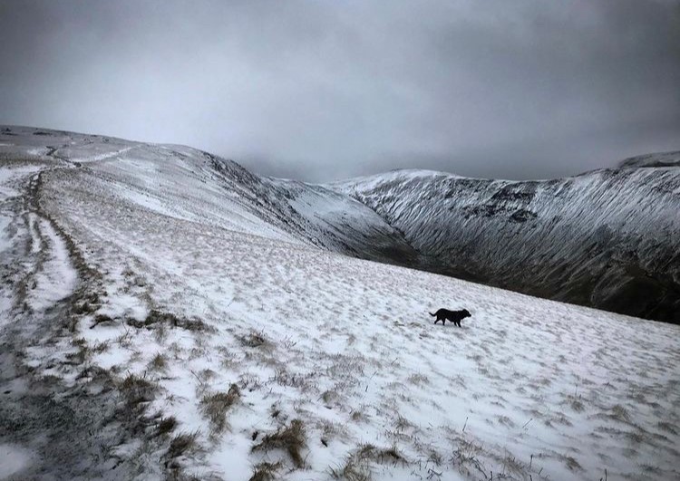A bit of snow around the #lakedistrict this morning, and it's looking like a lovely sunny day!

Are you a fan of the #snow, or do you dread going out in it?