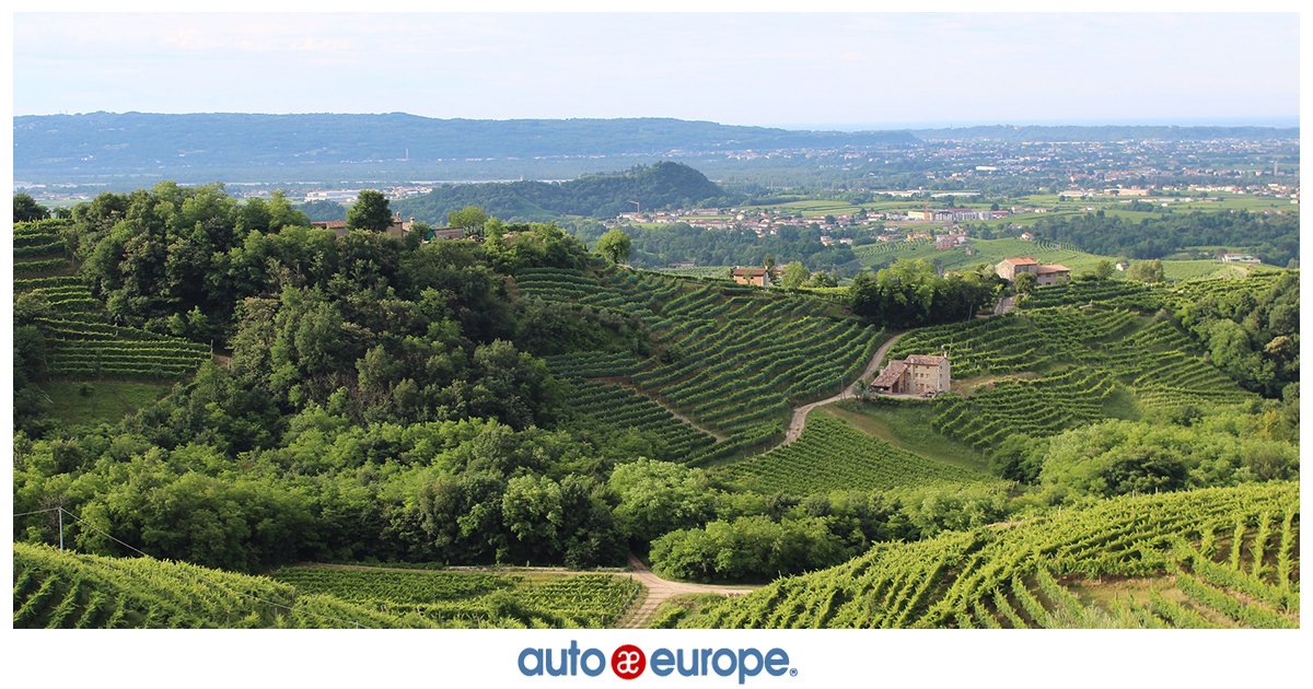 Auto Europe España tweet media