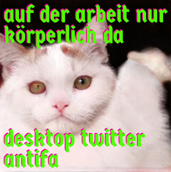 asozialisierung's tweet photo. @KleinCool https://t.co/4jRkDDrvfs