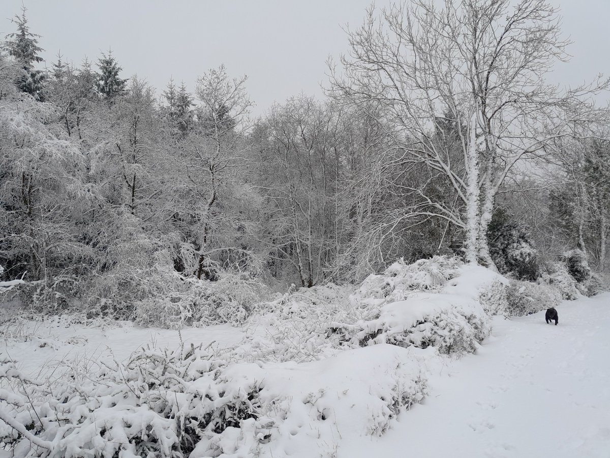 Siobhan Healy sent us this photo of falls of snow in Glensharrold, Co