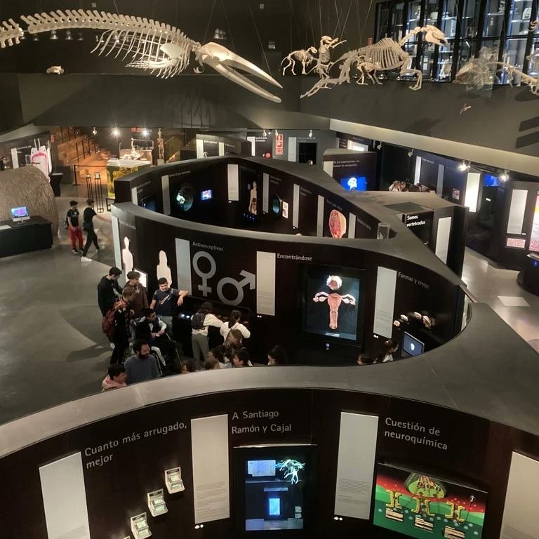 iestomashormigo's tweet photo. 🔭🔬⚗️🧬🐠 El alumnado de 3° de ESO visitó el Parque de las Ciencias de Granada. Una interesante jornada educativa en la que ha participado en una visita guiada al museo, talleres y visitas al Biodomo y Planetario. https://t.co/Orguf2mGjb