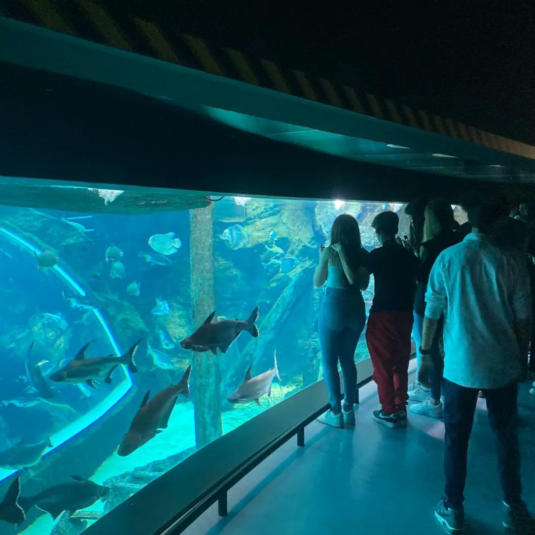 iestomashormigo's tweet photo. 🔭🔬⚗️🧬🐠 El alumnado de 3° de ESO visitó el Parque de las Ciencias de Granada. Una interesante jornada educativa en la que ha participado en una visita guiada al museo, talleres y visitas al Biodomo y Planetario. https://t.co/Orguf2mGjb