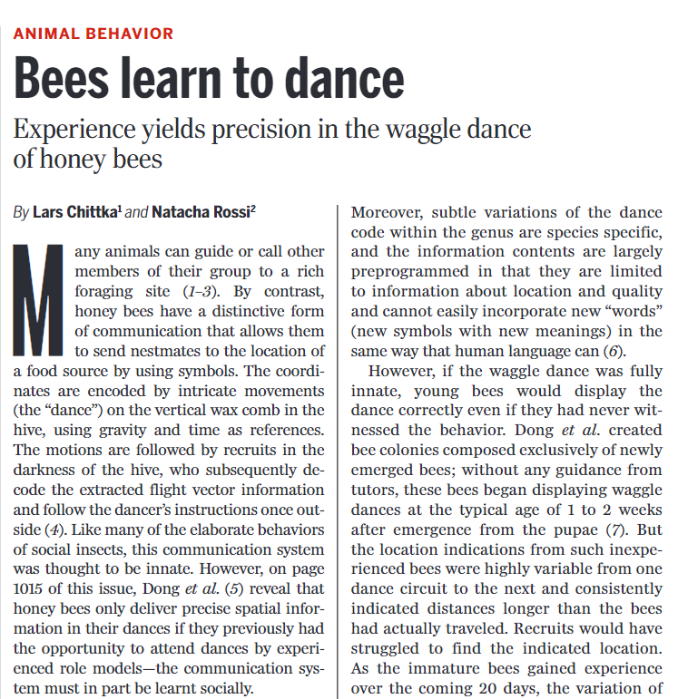 Lars Chittka tweet media