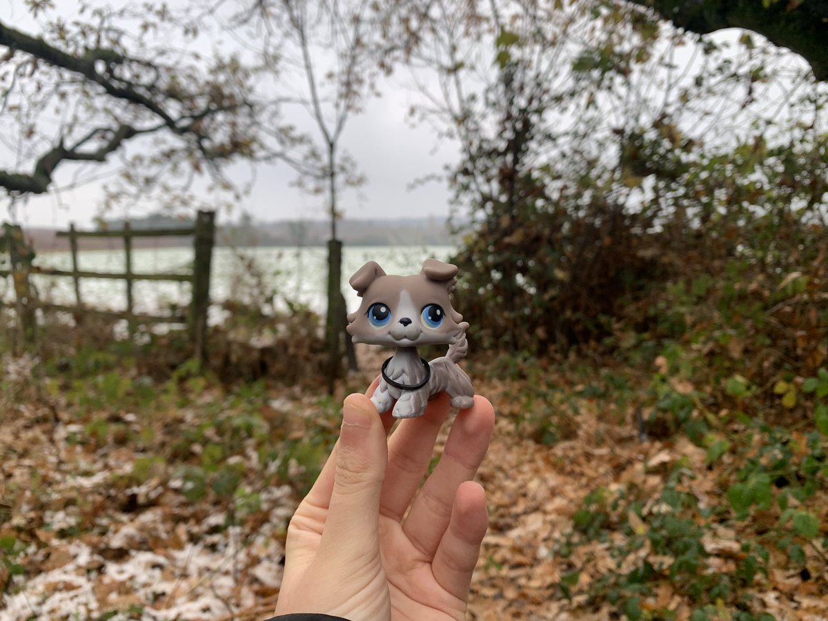 Lps_Photos's tweet photo. Some photos i took when it snowed :)
Glad I went out because the snow didn’t last  
#Lps #littlestPetShop https://t.co/d3KNsQax8H