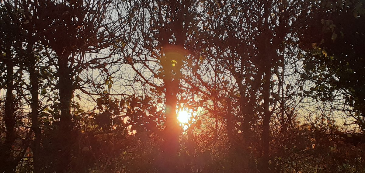 BinstedLove's tweet photo. So we get to enjoy the peace + beauty that is Binsted for a while longer, all the while hoping that it can be saved for future generations 
So many thanks to everyone who has helped in our fight 💚#ClimateEmergency #SaveOurCountryside #SaveBinsted https://t.co/RKbZ25DwkS
