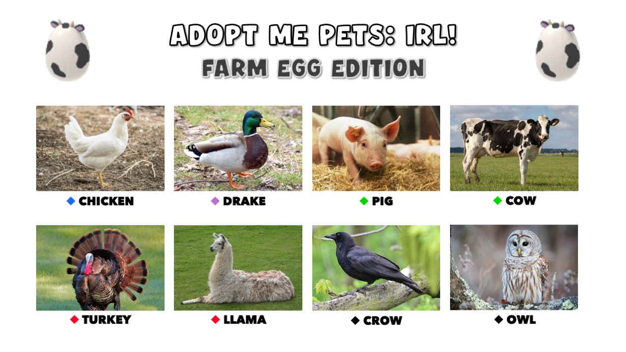 adopt animals meme
