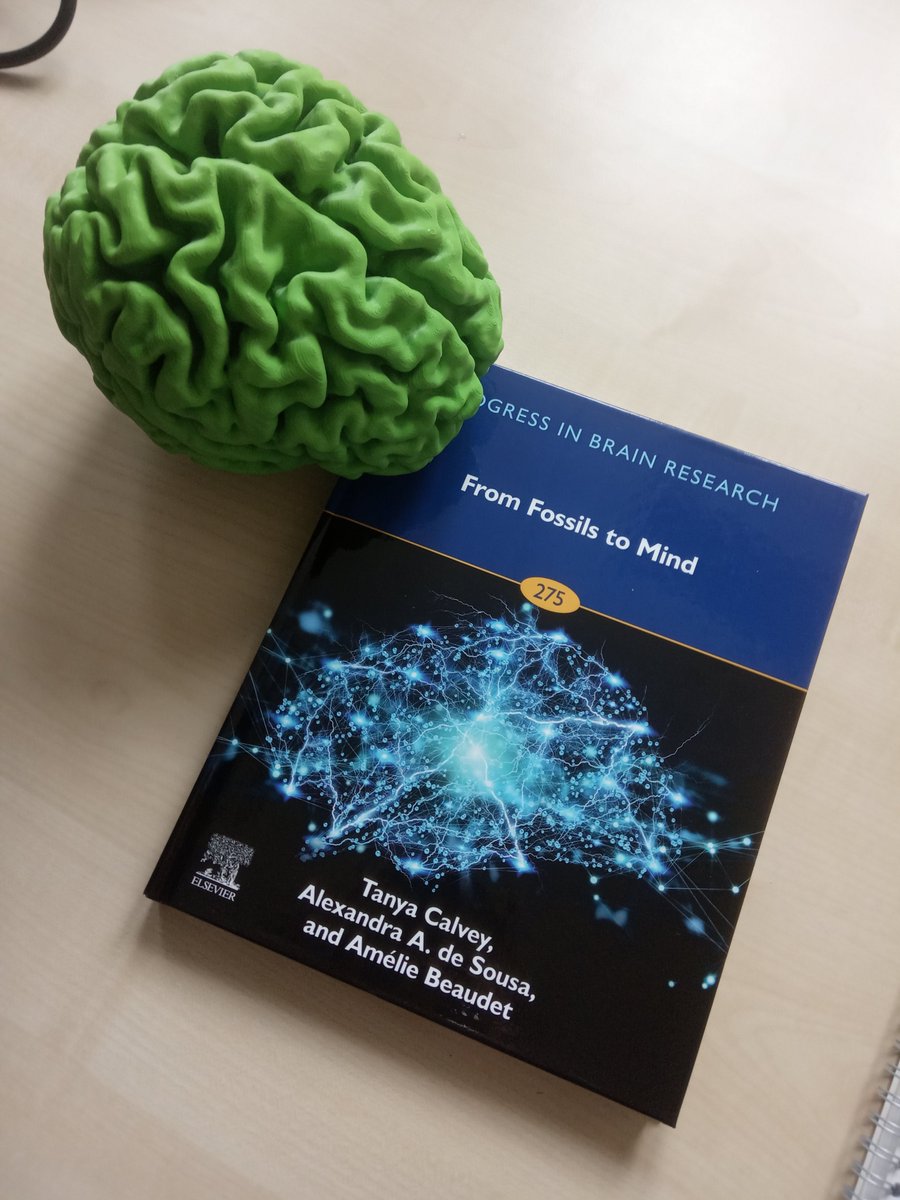BeaudetAmelie's tweet image. Yesterday I received a copy of the #ProgressInBrainResearch volume we edited with @AleAliSousa and @TanyaCalvey 😍I am grateful to all of the authors who contributed and to my incredible co-editors who made this possible elsevier.com/books/from-fos…