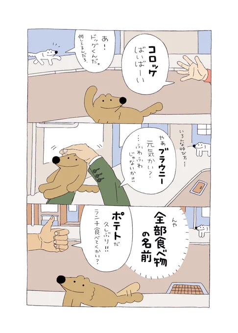みんなのアイドル✨🐕✨ 