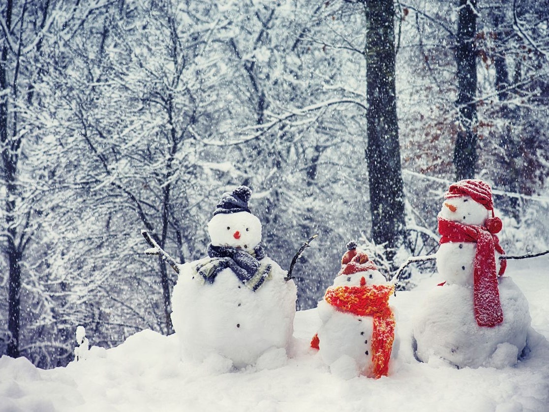 Bradford DFC (@bfddisabilityfc) on Twitter photo Training is cancelled tonight ❄️☃️ due to the weather conditions Training is cancelled tonight ❄️☃️ due to the weather conditions