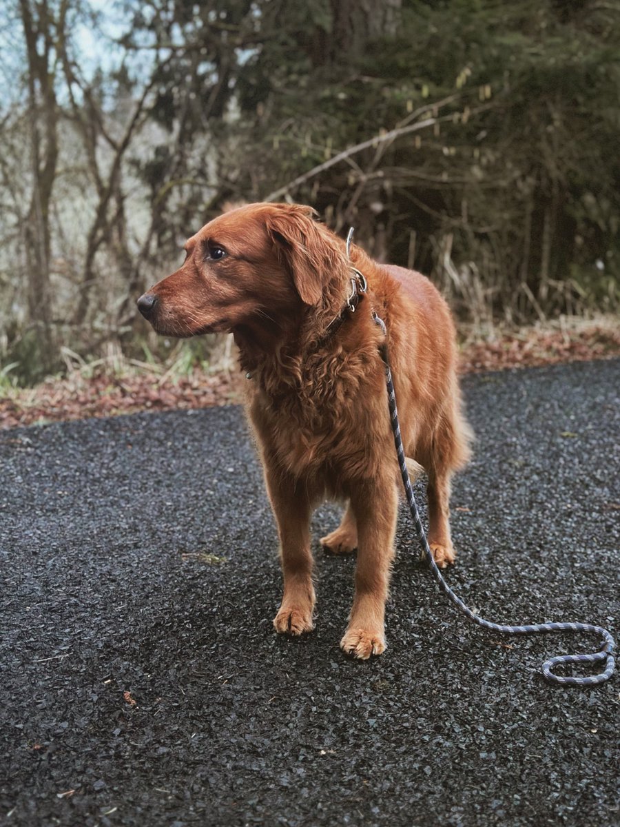 Kelsie Caple (@kelsiecaple) on Twitter photo 