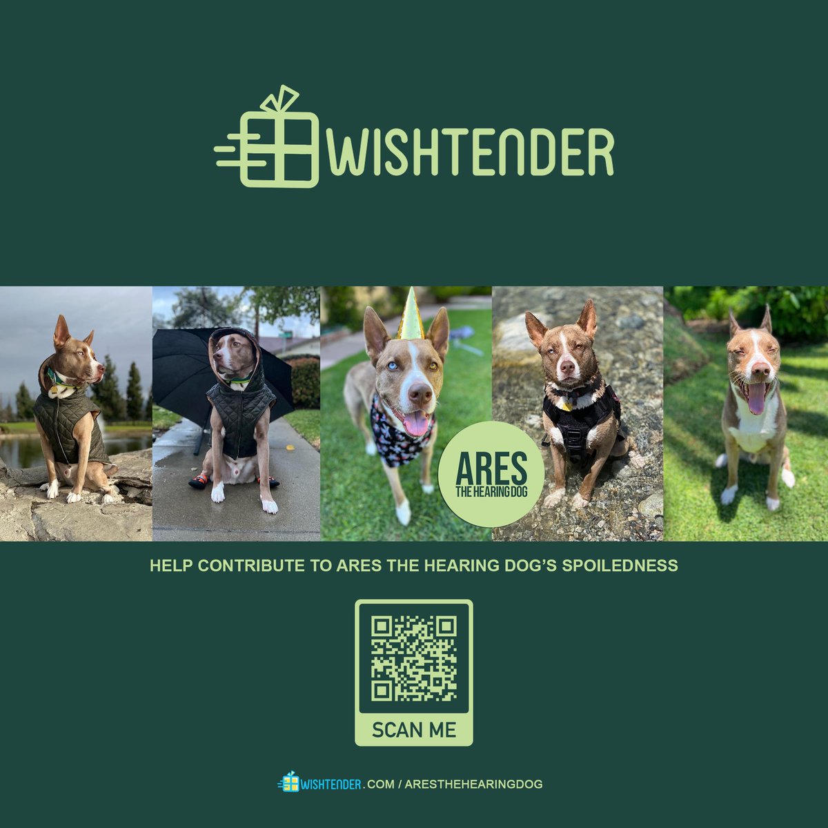 areshearingdog's tweet photo. Visit the link https://t.co/a4aPKEo6pf to help contribute to my spoiledness. 🎁🐾🐕💨 

#followformore #followme #wishtender #hearingdog #workingdog #doginfluencer #dogtraining #notalldisabilitiesarevisible #signlanguage #doghandler #dogdad #deafdad #mansbestfriend #retweet #rt https://t.co/14qm4K6lqT