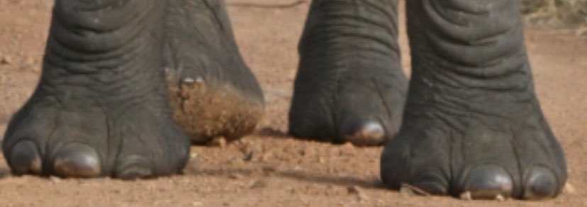 <a href="/Jinpix_/">Jin</a> feet pics have been leaked