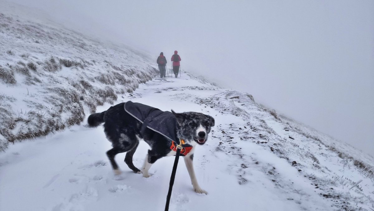 Snowy #Penyfan this morning ❄️🌬 #BreconBeacons @Ruth_ITV @itvweather