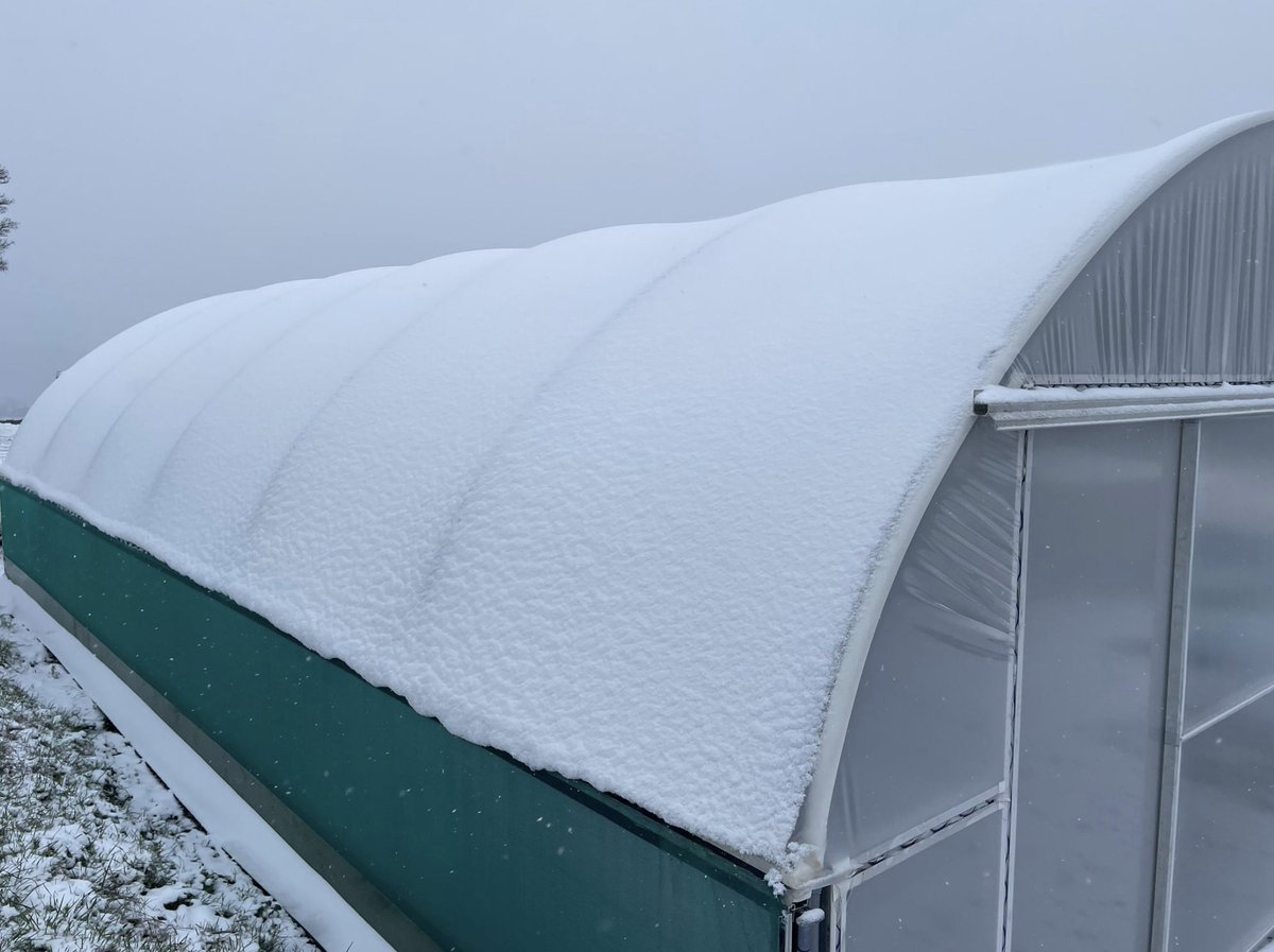 NorthernPolyt's tweet photo. Commercial Polytunnel snow pic alert from #Sheffield, Courtesy of Jacob Nickles on Instagram https://t.co/1np0RhqtkD