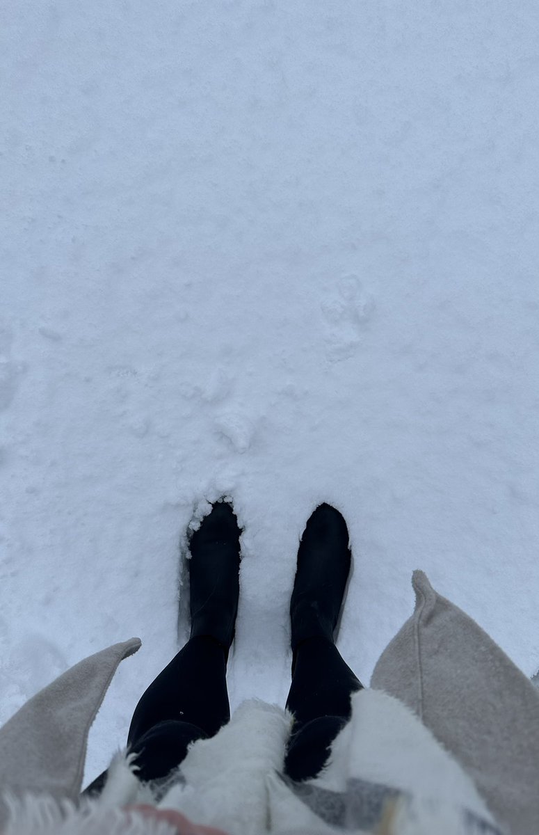 lizzie sweeting tweet media