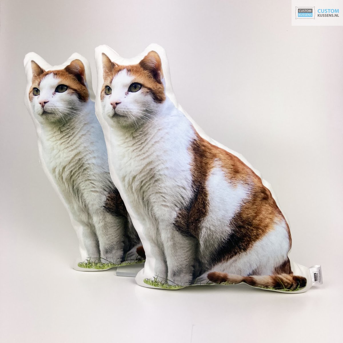 CustomKussens's tweet photo. Kussen van uw eigen kat? >> https://t.co/BwUT8KUG2g

#CustomKussens #Kussens #Huisdieren #Dieren #Kat #Katten #HuisdierenFotografie #DierenFotografie #HuisdierPlezier #FotoKussen #FotoKussens #KussensOpMaat #KussensMaken #CuteAnimals https://t.co/i5thab35Rg