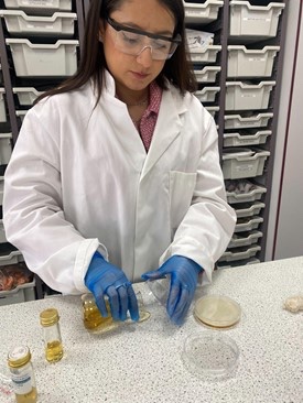 SuttonHighSTEM's tweet photo. Prepping for bacterial transformation practical for Yr 13… agar plates fun! #TECHOGNITION #microbiology #SuttonHigh @TECHOGNITIONUK https://t.co/u33VOL0u6P