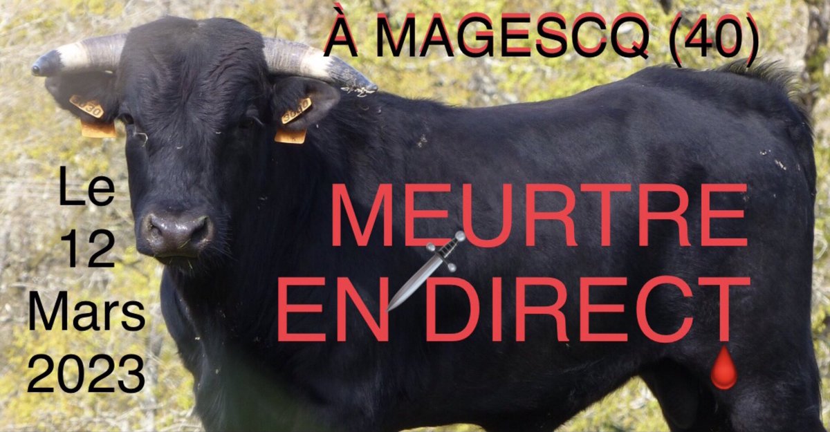 Lisa40_64's tweet photo. ❌ MOBILISEZ-VOUS ET REJOIGNEZ-NOUS ❗️ Manifestation à Magescq (Landes) le 12 mars à 14h30 contre la 🗡️corrida et la novillada 🗡️ Lien de l’événement 👉https://t.co/WzwQTHI2xW @SO_Landes @SudRadio @CaronAymericoff #StopCorrida @onevoiceanimal @Animal1Personne @LandesParti https://t.co/TZaFjrob1K