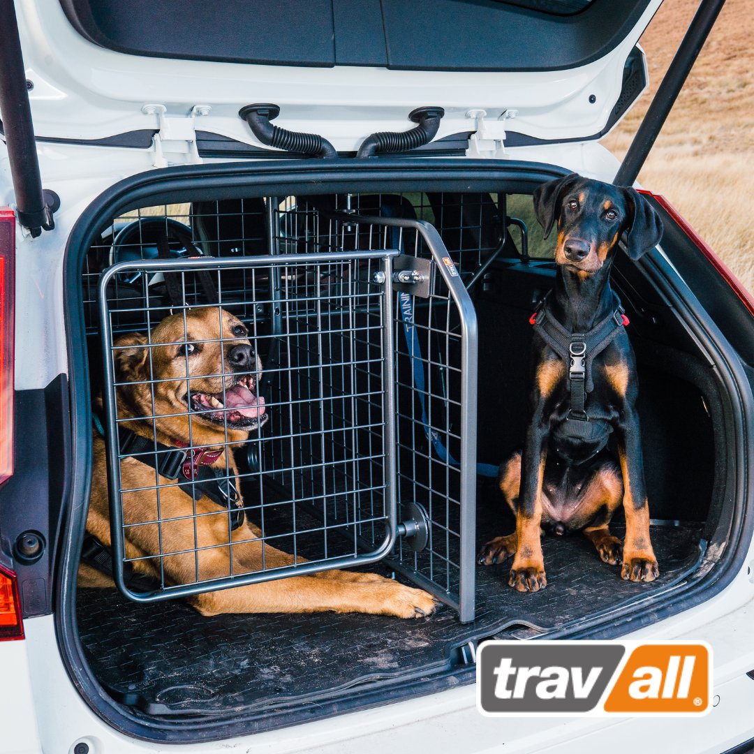 Travall_DE's tweet photo. Wir von #Travall lieben Fotos unserer vierbeinigen Fans! Ist euer Kofferraum auch so gut aufgeteilt? 🐶 🐶🚘
https://t.co/3bfdc7iMzQ
.
#auto #zubehör #ausflug #urlaubmithund #hund #enjoythejourney https://t.co/DIXbmjOkjT