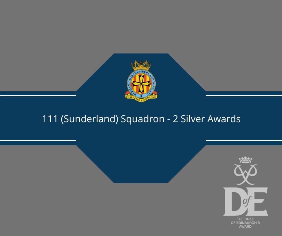 Congratulations to the cadets from @111SquadronATC @733sqn @1313_RAFAC and @1509BLAYDON whose @DofE awards have been approved! @DofEOps @DNWAirCadets