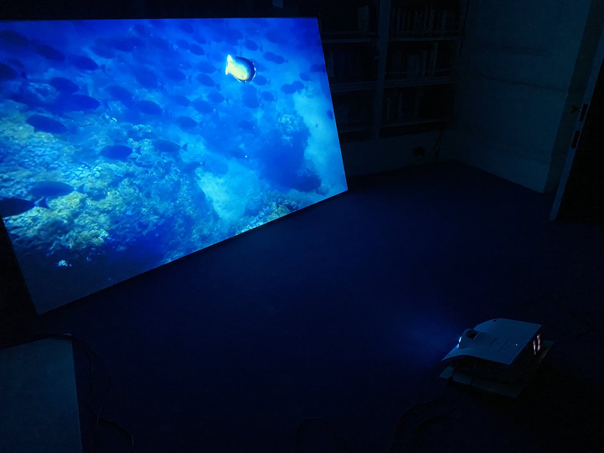 andyjoeytay's tweet image. Fascinating talk and exhibition by #AkiInomata at @DaiwaFoundation last night on her #bioart works. #AutobiographicalAnimals is open now through end of May. Thank you @a_inomata for coming to London!