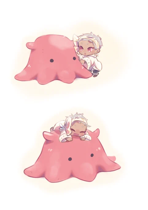 メンダコチャ 