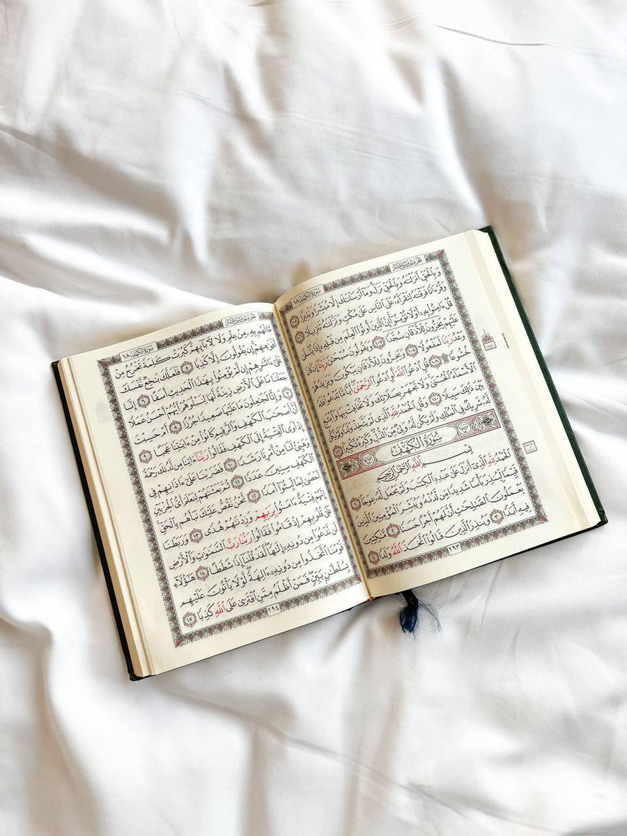 عاليه tweet media