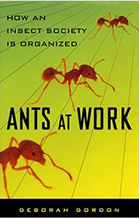 UnistemYesNa's tweet photo. Cosa hanno in comune le 🐜 e il🧠? Seguite il talk del prof. F. Conti per scoprirlo. Potete rivederlo sul canale YouTube dell'Università Federico II. https://t.co/FNxuDW8KO7
@Unistem2023 @UninaIT #unistem #unistem2023 #unistemday #Students #outreach #divulgazionescientifica https://t.co/ZQg6TwkRPI