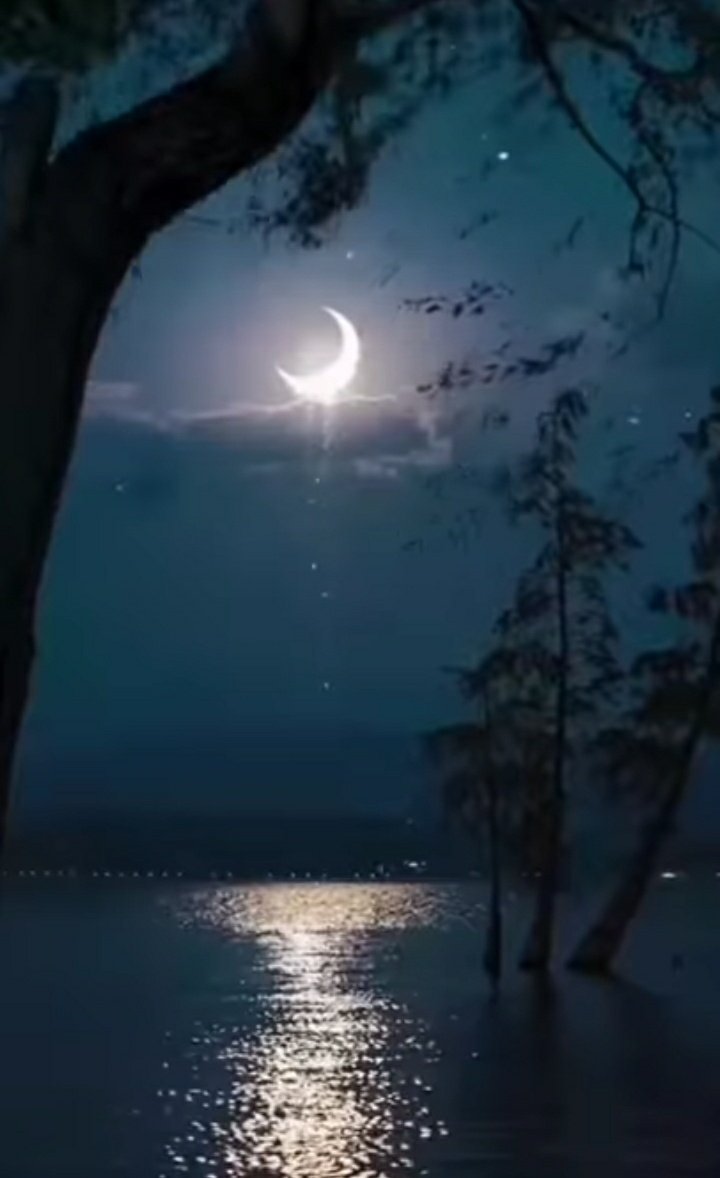 🌒 moonlight 
#photography 
Tap 👇