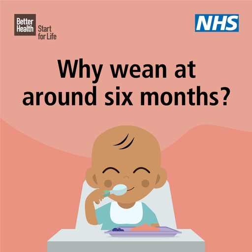 BH_StartForLife's tweet photo. At 6 months old, your baby needs more than breast milk or first infant formula to meet their needs 👶 

Head to our weaning hub for expert NHS advice and lots of simple, healthy weaning recipe ideas ➡️ https://t.co/W4MTr8b1Bv https://t.co/aFyelg6GKA