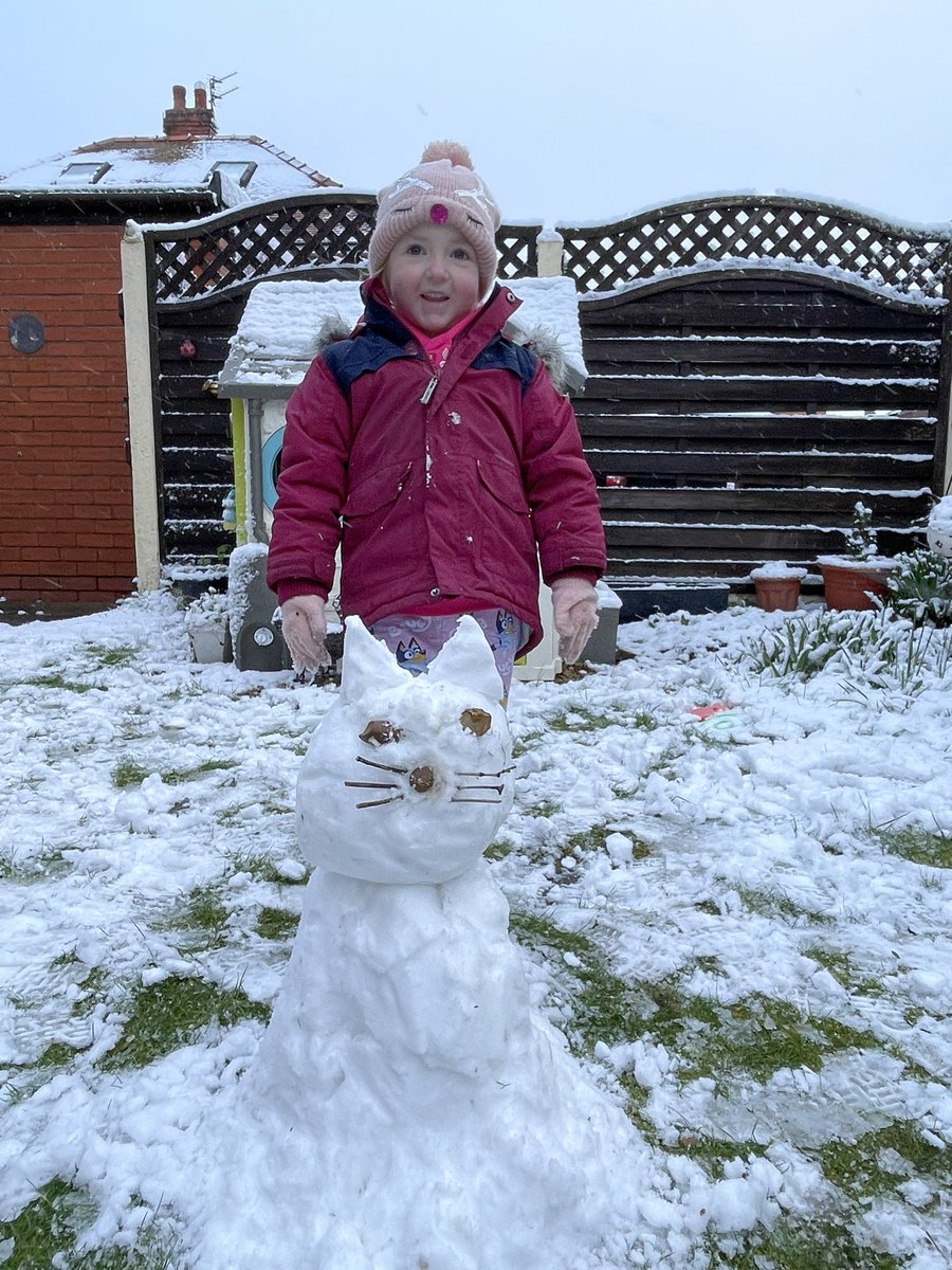 loujohnston79's tweet photo. Finally we have snow⛄️ #snowday #snowcat https://t.co/Nr8C1ON6OI