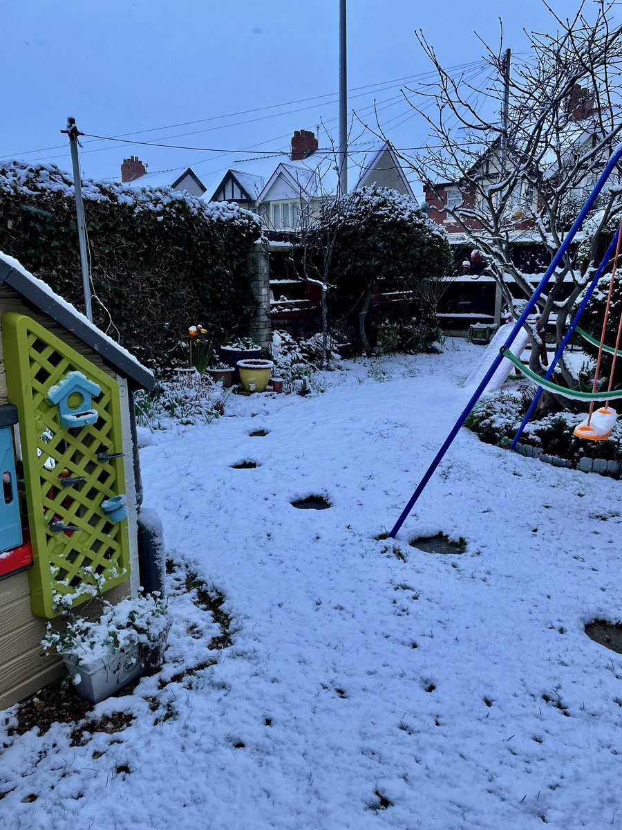 loujohnston79's tweet photo. Finally we have snow⛄️ #snowday #snowcat https://t.co/Nr8C1ON6OI