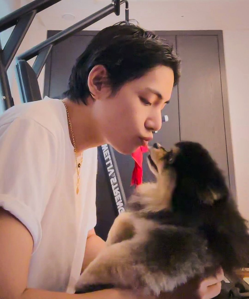 Собака тэхена ентан. Тэхен и ентан. Какой породы ентан. V and yeontan. Собака тэхена ентан.