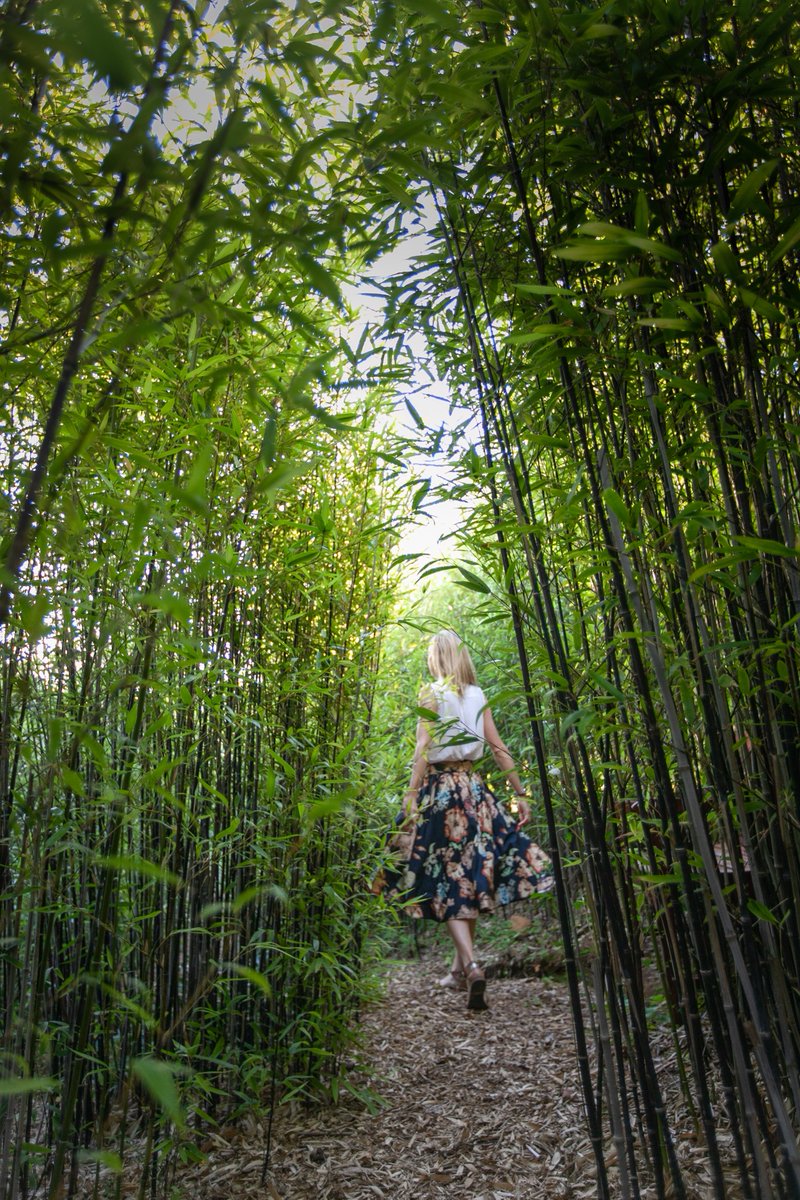 TokaraWine's tweet image. Save The Date | The annual Tokara Rare Plant Fair &amp;amp; Autumn Open Garden takes place on Saturday 22 April 2023. Tickets can be bought on the day at the farm gate. Entrance is R50 per person in aid of a local charity. rareplantfair.co.za #OpenGarden #RarePlantFair