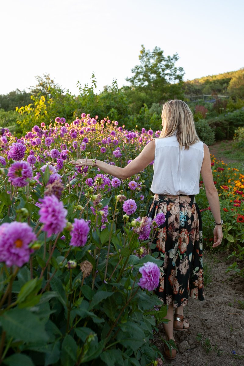 TokaraWine's tweet image. Save The Date | The annual Tokara Rare Plant Fair &amp;amp; Autumn Open Garden takes place on Saturday 22 April 2023. Tickets can be bought on the day at the farm gate. Entrance is R50 per person in aid of a local charity. rareplantfair.co.za #OpenGarden #RarePlantFair