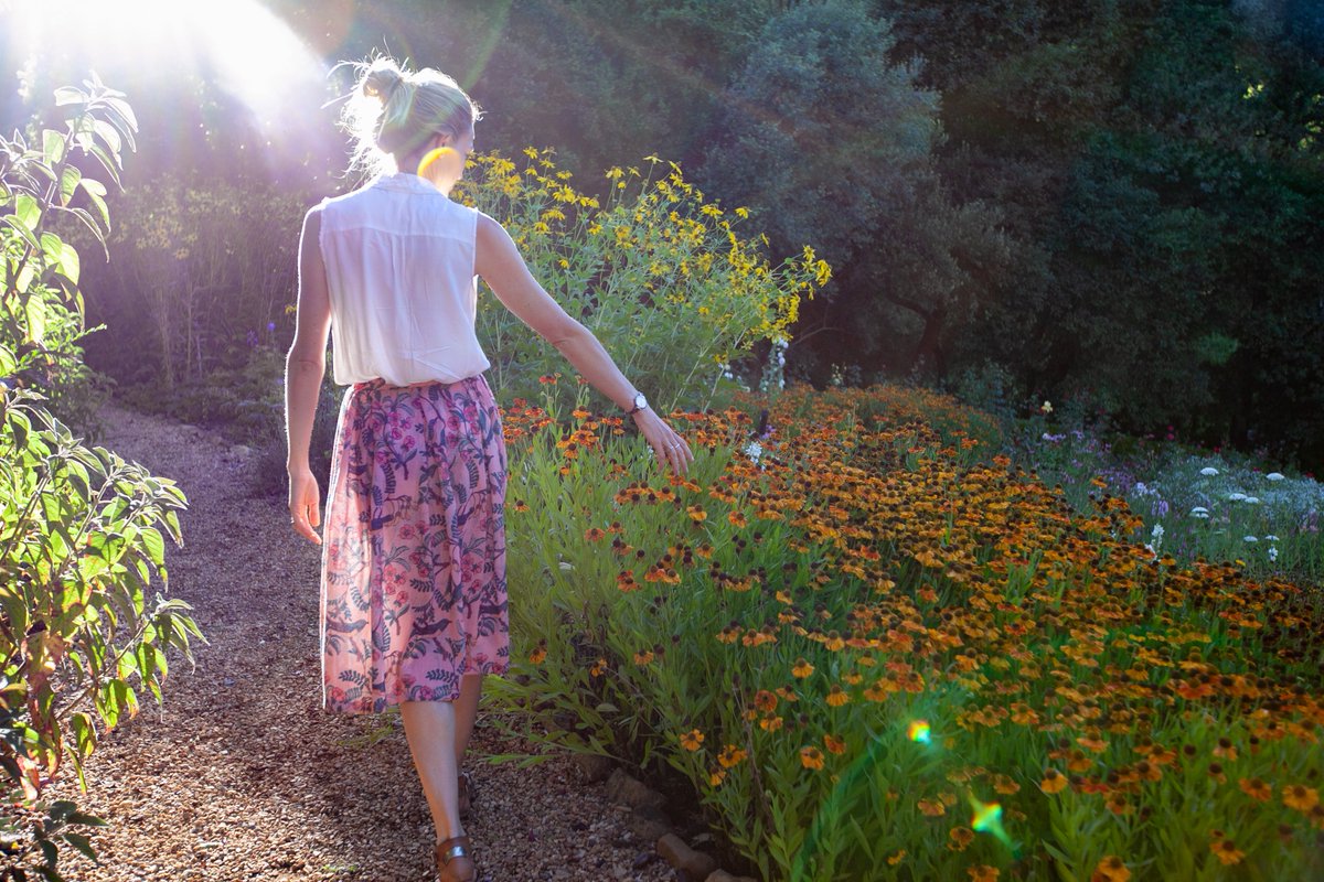 TokaraWine's tweet image. Save The Date | The annual Tokara Rare Plant Fair &amp;amp; Autumn Open Garden takes place on Saturday 22 April 2023. Tickets can be bought on the day at the farm gate. Entrance is R50 per person in aid of a local charity. rareplantfair.co.za #OpenGarden #RarePlantFair